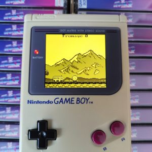 Savoie Retro Games jeu Game Boy