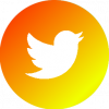 Logo twitter orange